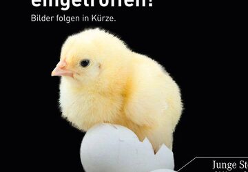 Mercedes-Benz A 180 4.920 km 32.890 &euro; Königsbrunn 86343