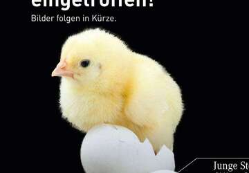 Mercedes-Benz EQA 250 22.291 km 27.340 &euro; Schwabmünchen 86830