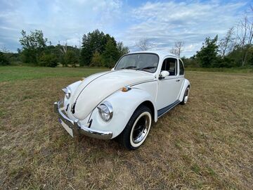 Gebrauchte VW Käfer