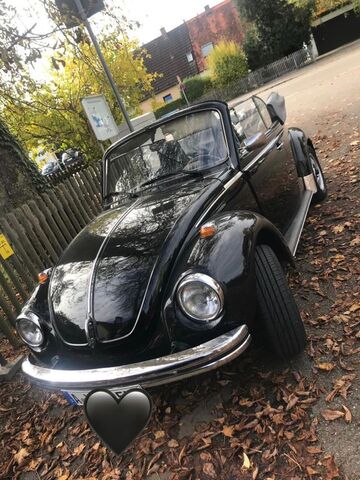 Gebrauchte VW Käfer